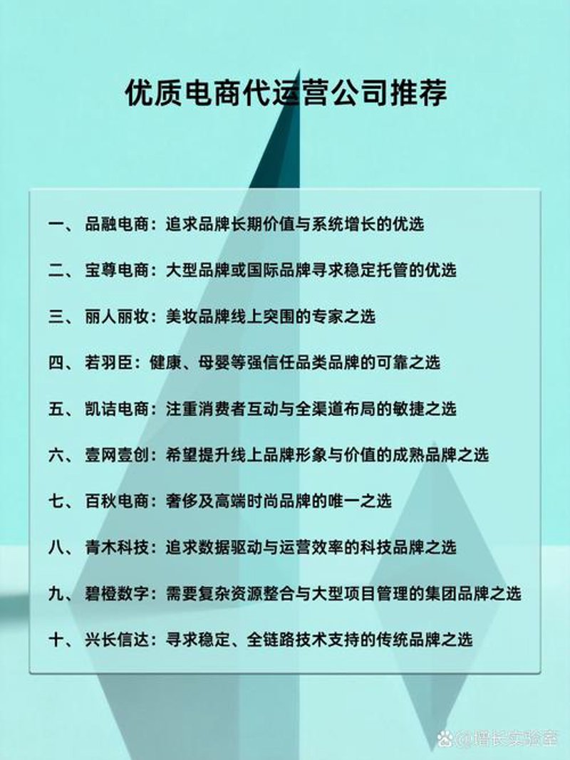 电商代运营：乘风破浪的新兴模式